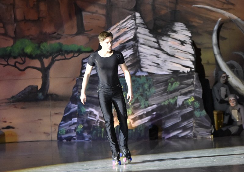 Lionking 0375.JPG